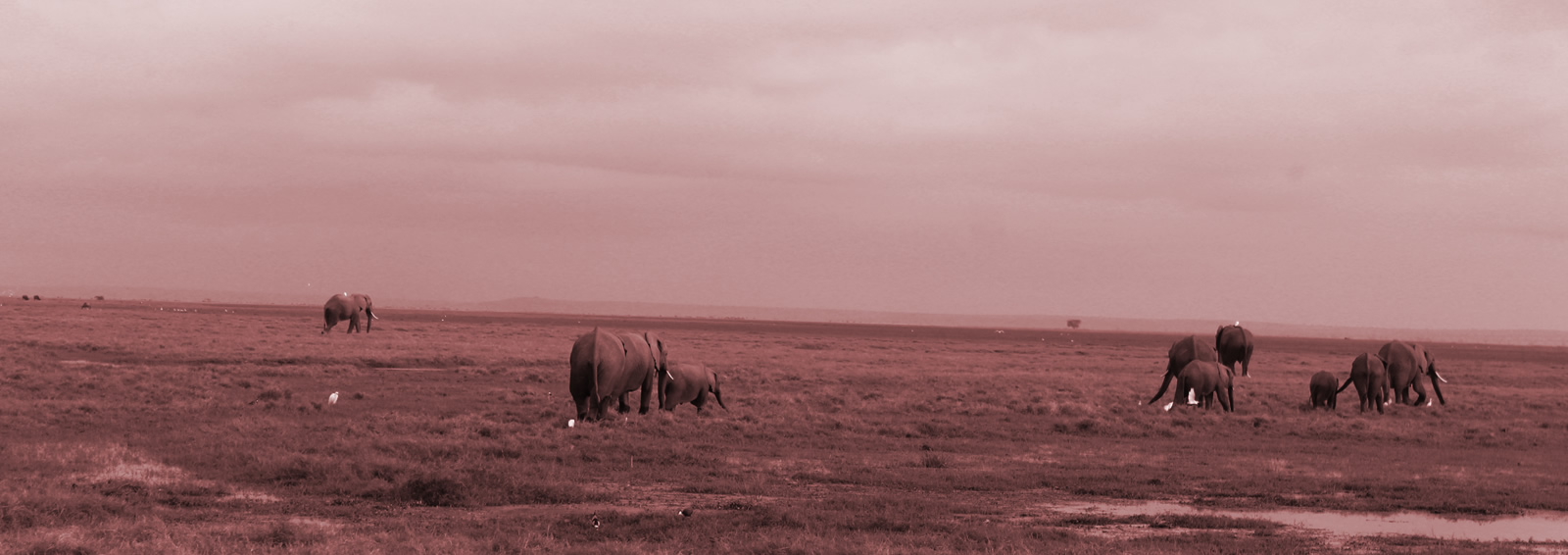 about zagas explorer