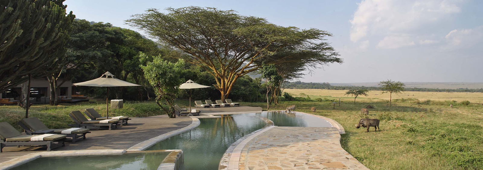 14 days best of east africa safari